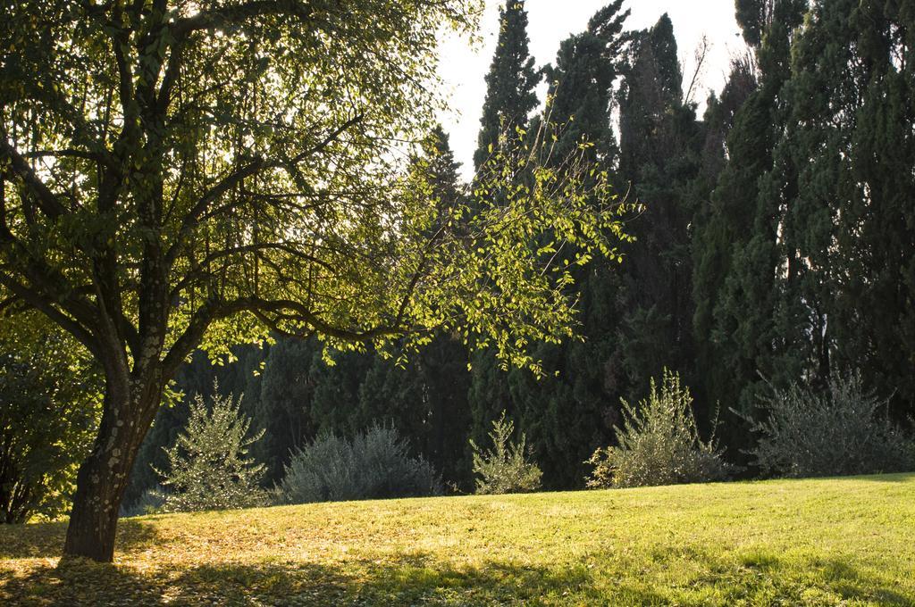 Villa Montaperti Monteaperti  Cameră foto
